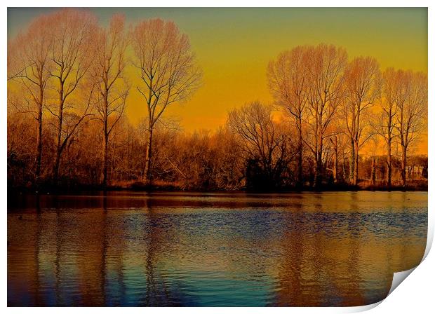 Trees across the lake, Autumn Colours              Print by Sue Bottomley