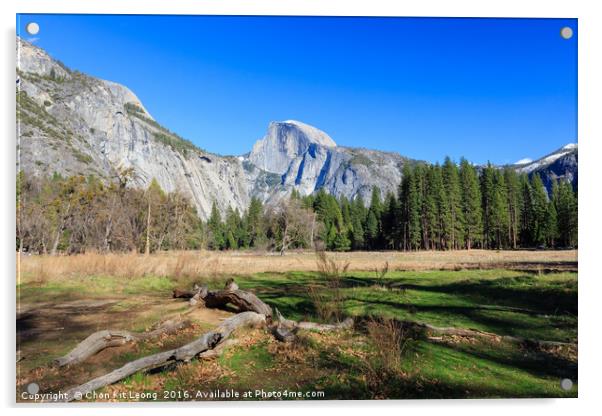 Beauty of Yosemite Acrylic by Chon Kit Leong
