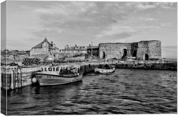 Beadnell Canvas Print by Northeast Images