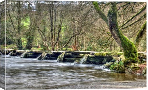 Winter At Tarr Steps Exmoor Canvas Print by austin APPLEBY
