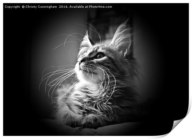 More Whiskers Than Kitten Print by Christy Cunningham