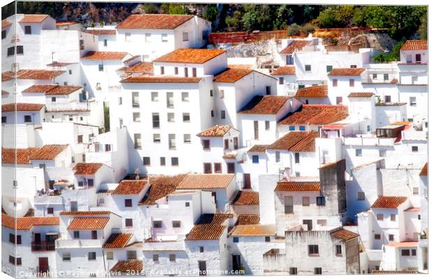 Traditional white hillside houses in Casares, Mala Canvas Print by Raymond Davis