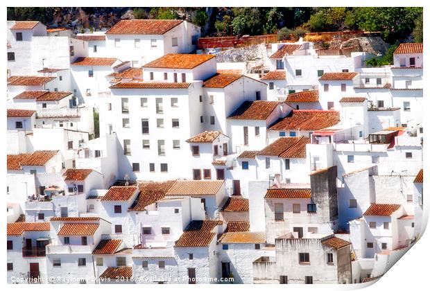 Traditional white hillside houses in Casares, Mala Print by Raymond Davis