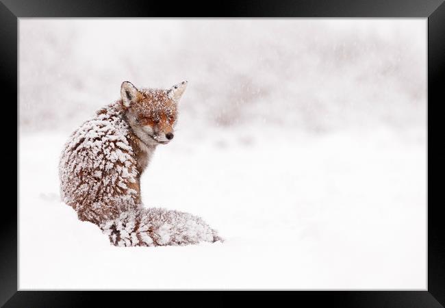 A Red Fox Fantasy Framed Print by Roeselien Raimond