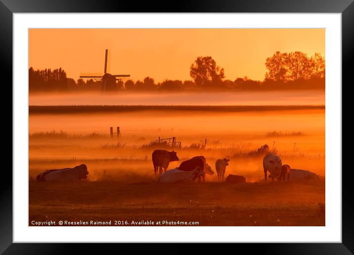Cows in the Mist Framed Mounted Print by Roeselien Raimond