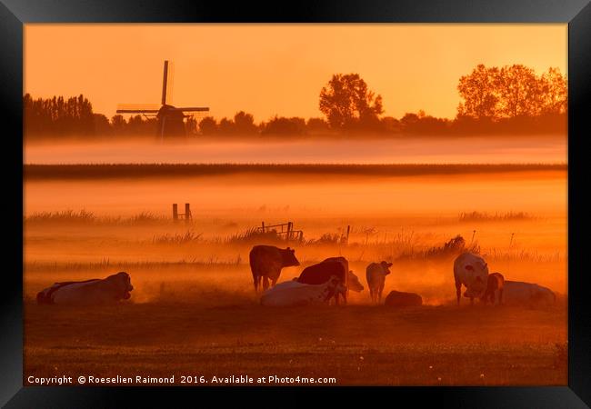 Cows in the Mist Framed Print by Roeselien Raimond