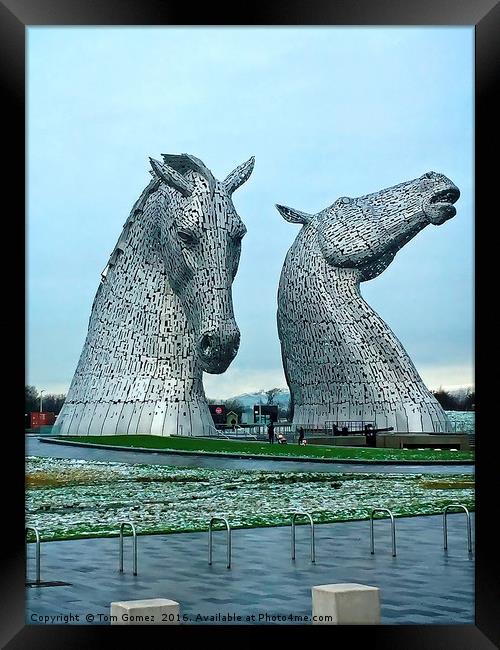The Kelpies in January Framed Print by Tom Gomez