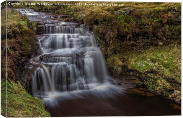 Jenny Whalley Force Canvas Print by Sandi-Cockayne ADPS