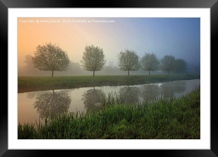 River Stour misty Dawn Framed Mounted Print by Antony Burch