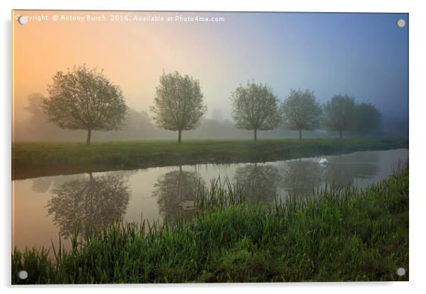 River Stour misty Dawn Acrylic by Antony Burch