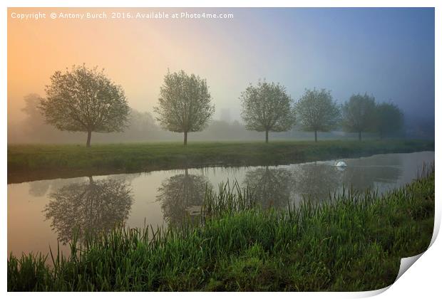 River Stour misty Dawn Print by Antony Burch