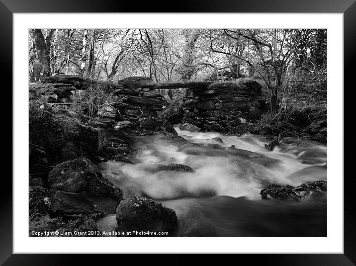 Hafodgwenllian, Lledr Valley, Snowdonia, Wales Framed Mounted Print by Liam Grant