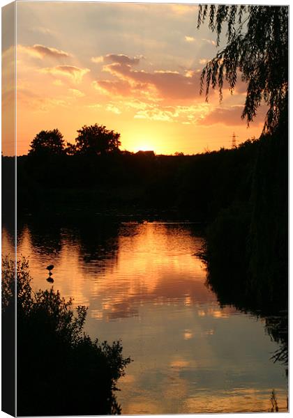 Sunset Canvas Print by Ian Middleton