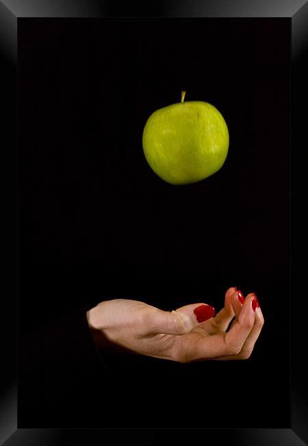 Female hand throwing a green apple Framed Print by Gabor Pozsgai