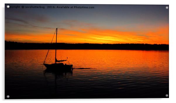 Campbell River Sunrise Acrylic by rawshutterbug 