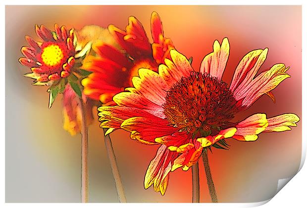 Summer Flowers Print by Dennis Hirning