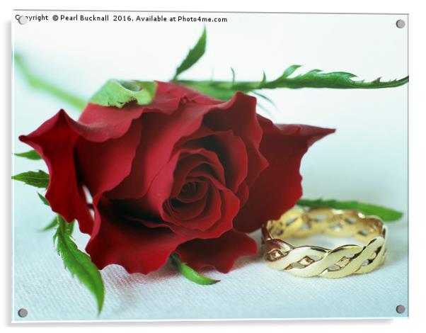Rose and Gold Ring Valentine Concept Acrylic by Pearl Bucknall