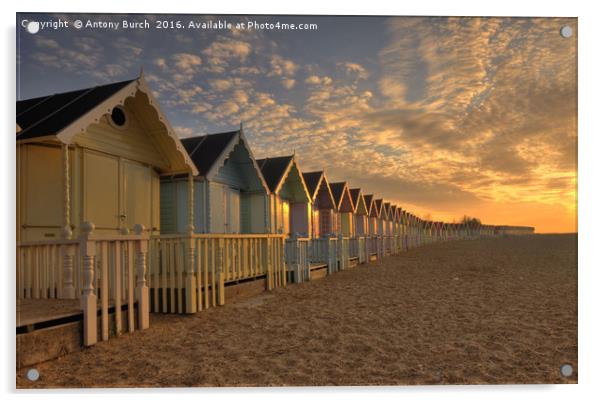 Mersea Beach Huts Acrylic by Antony Burch