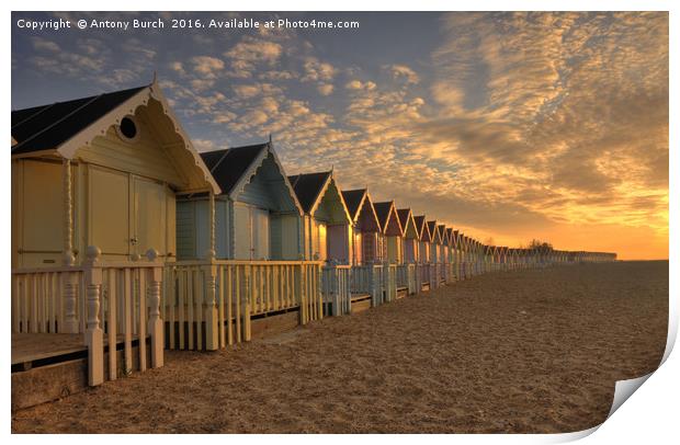 Mersea Beach Huts Print by Antony Burch