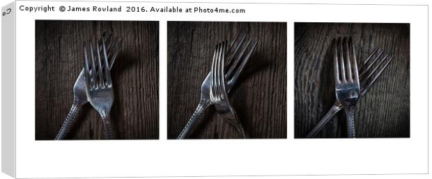 Fork Tryptic Canvas Print by James Rowland