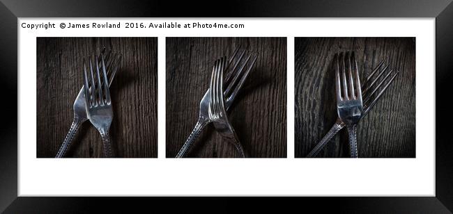 Fork Tryptic Framed Print by James Rowland