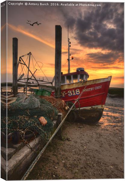 Whitby Crest Canvas Print by Antony Burch