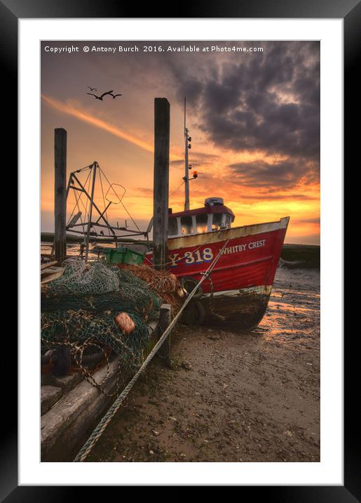 Whitby Crest Framed Mounted Print by Antony Burch