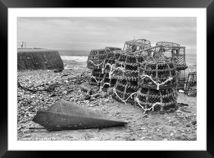 Lobster Baskets in Lyme Regis, Jurassic Coast, Dor Framed Mounted Print by Liz Shewan