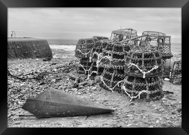 Lobster Baskets in Lyme Regis, Jurassic Coast, Dor Framed Print by Liz Shewan