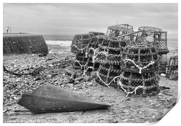 Lobster Baskets in Lyme Regis, Jurassic Coast, Dor Print by Liz Shewan