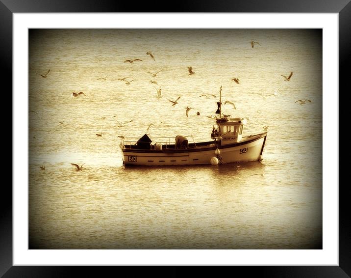 Catching todays fish Framed Mounted Print by Alexia Miles