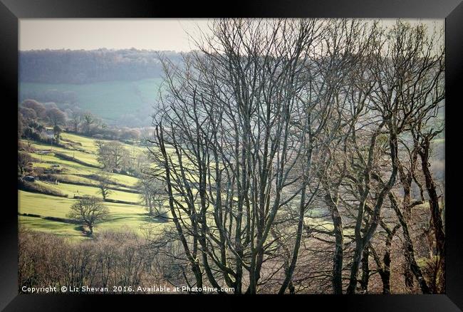 Dorset Landscape with Tree Silhouettes on a Cold S Framed Print by Liz Shewan