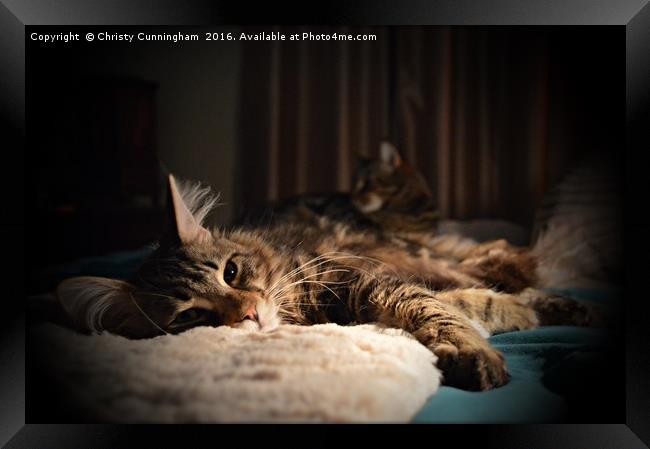 Relaxing in Duplicate Framed Print by Christy Cunningham