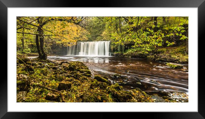 Autumns Fall Framed Mounted Print by Philip Male