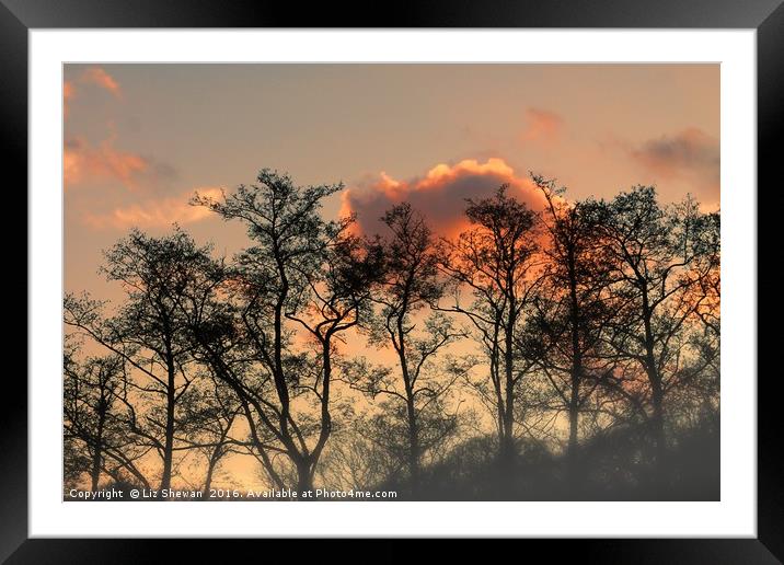 Sunset Glory and Tree Silouettes - Art in Nature Framed Mounted Print by Liz Shewan