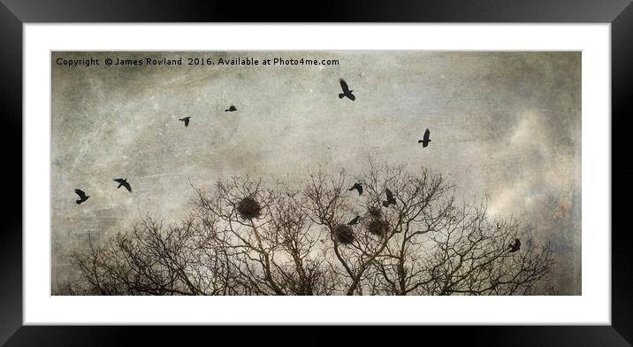Crows Framed Mounted Print by James Rowland
