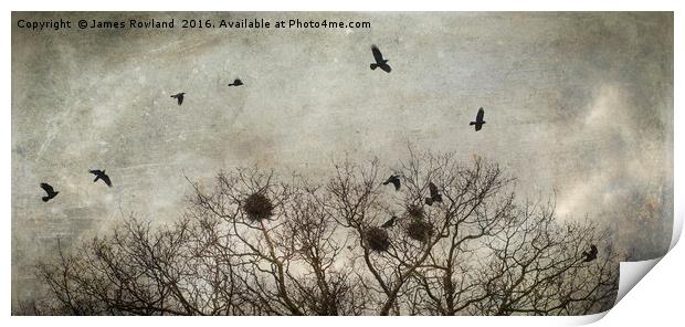 Crows Print by James Rowland
