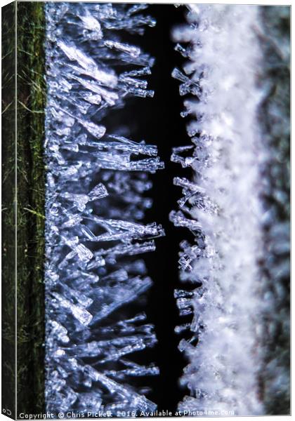 Ice Crystals Canvas Print by Chris Pickett
