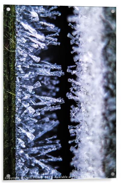 Ice Crystals Acrylic by Chris Pickett