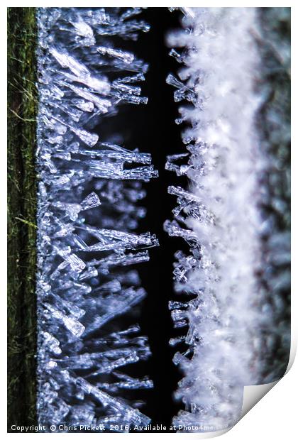 Ice Crystals Print by Chris Pickett