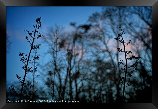 Sunset Shapes | Art in Nature, blues and pinks Framed Print by Liz Shewan