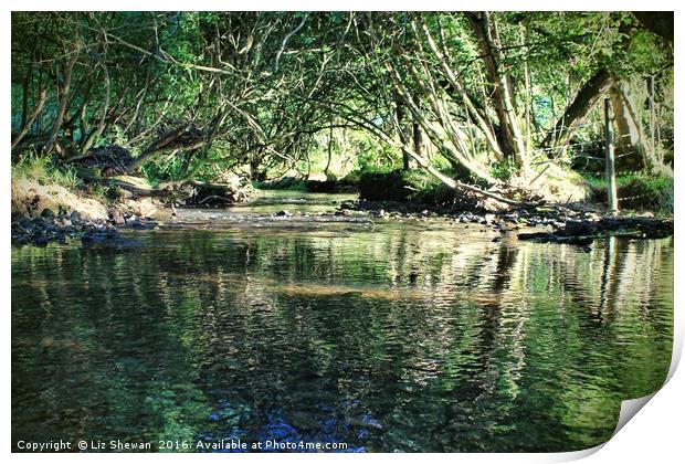 The Secret Place, Magical Moments and Reflections Print by Liz Shewan