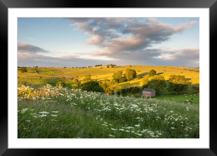 Summer countryside Framed Mounted Print by Andrew Kearton