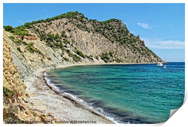 The Beach at Sol Den Serra Print by Tom Gomez