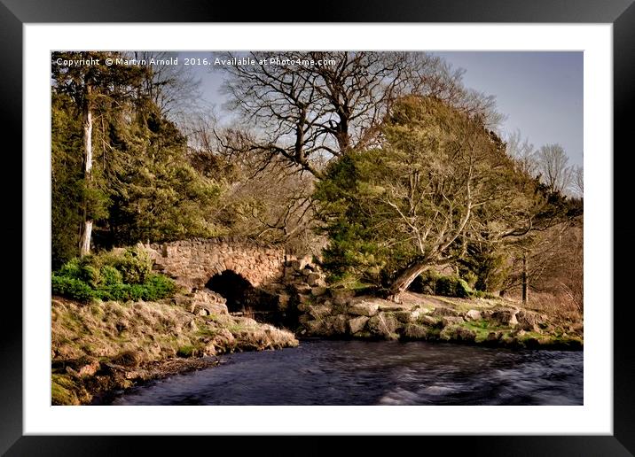 Bridge on the Lake Framed Mounted Print by Martyn Arnold