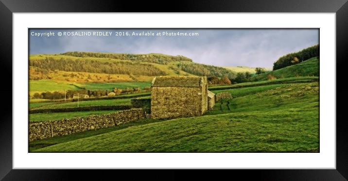 "STONE BARN ON THE MOORS" Framed Mounted Print by ROS RIDLEY