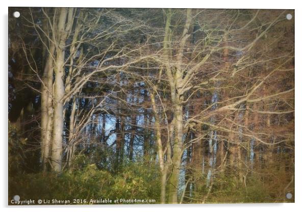 Blues through Whispy Trees | A Woodland in Dorset Acrylic by Liz Shewan