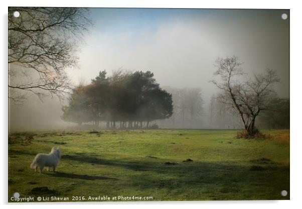 West Highland Terrier overlooking Misty Tree View  Acrylic by Liz Shewan