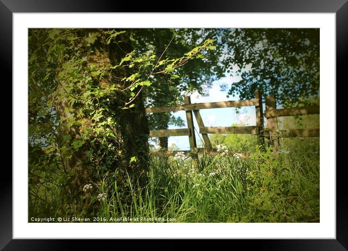 Gateway to Heaven | Secret Location in Devon Framed Mounted Print by Liz Shewan