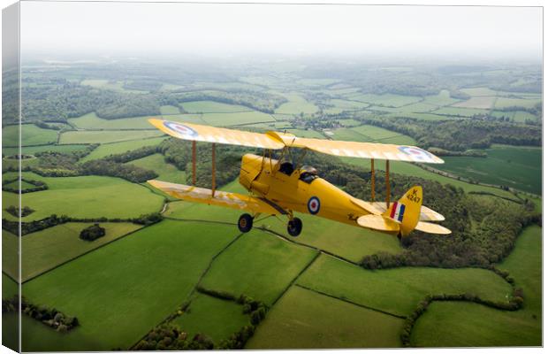 Going solo: RAF Tiger Moth Canvas Print by Gary Eason